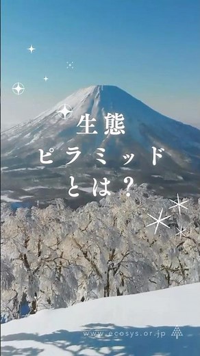 生態ピラミッドとは？ #生物多様性 #環境保護 #YouTube #ショート動画 #生態ピラミッド #高次消費者 #分解者 #生産者 #消費者 #環境破壊 #生態系 #日本生態系協会