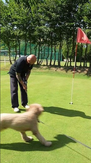 Par 3 - 130m Hole 18 at GC Laab im Walde 😇