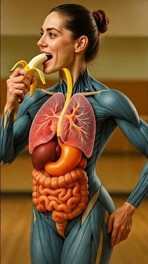 3D Human Body Animation | Girl Eating Apple 🍎 #humanbody #digestivesystem