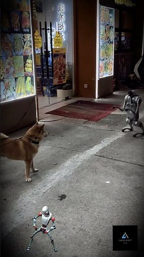 Robot Dog playing with a real dog