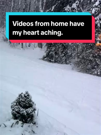 You can take the girl out of Michigan but you can't take the Michigan out of the girl. #reallife #michigan #snow #homesick #dualcitizenship