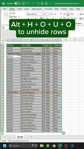 How to Hide & Unhide Rows in Excel in Seconds!