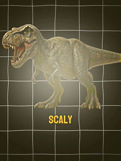 What Dinosaurs Really Looked Like: The Shrink-Wrapping Myth