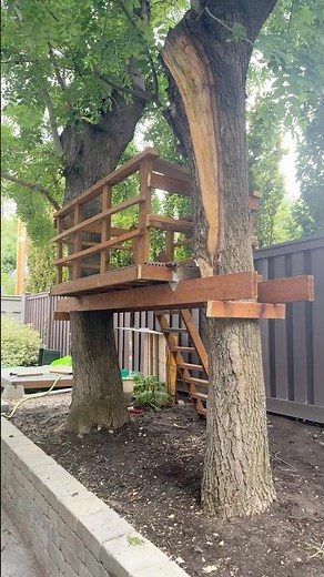 5 Hour Treehouse Build 🌲#diy #treehouse #diyprojects