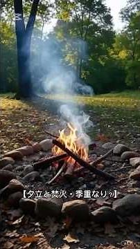 【夕立と焚火・季重なりの是非】夏井いつきさん風に解説。#夏の俳句 #季重なり #俳句初心者 #俳句入門 #ai #shorts