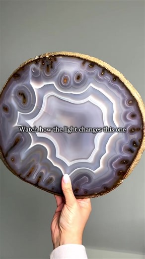 Heartwarming Moments to Brighten Your Day