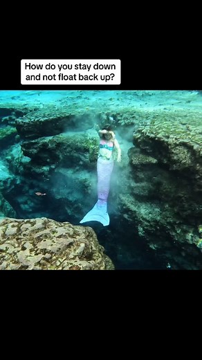 How do I stay neutral underwater without sinking or floating? Its a combo of weights and breath training! #howto #explained #answeringquestions #mylife #diving