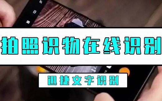 如何拍照识物在线识别？拍照识物在线识别用这个方法真的简单