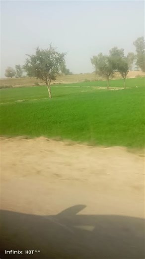 green fields #piano #pianocover #music #travel