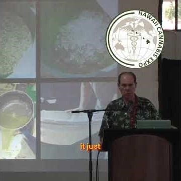 Making High Quality Water Hash A Step by Step Guide