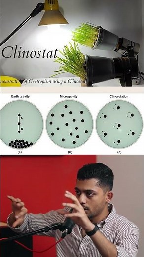 Microgravity Plant Growth Experiments on Earth #scienceexperiment #space #physics