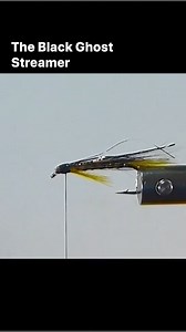 Brent Schlenker, the Fly Tyin’ Cowboy, ties The Black Ghost Streamer. Deadly pattern trolled to find fish or stripped on a full sink line. Watch the FULL version on our YouTube Channel or website (member section). . . . . . First Tellurium Corp Maui Jim TW Outdoors Scientific Anglers Humminbird Authentic T-Shirt Company Hardy Fly Fishing | Sport Fishing on the Fly - SFOTF
