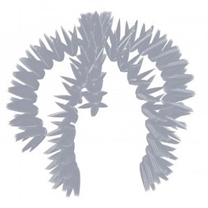 MARC6102: 3D COMPUTER DESIGN MODELLING_Assignment 1: Biological Relationships