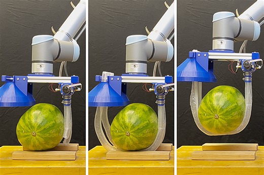 Vine-inspired robotic gripper gently lifts heavy and fragile objects