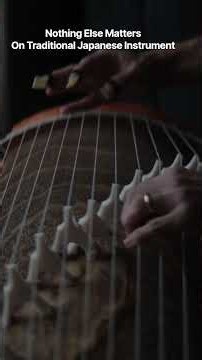 Open mind for a different view...#koto #metallica #coversong #metal #japan