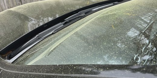 What high pollen levels mean, and how to check them in your area