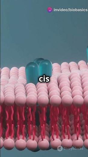 GOLGI BODIES: The Unsung Heroes of Your Cells! #golgiapparatus #biology #science #neet #net #facts