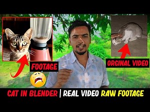 Cat In Blender | Cat in Blender Viral Video | Banned Video released - Warning!