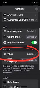 How to Change the Voice of ChatGPT on iPhone, Mac, iPad