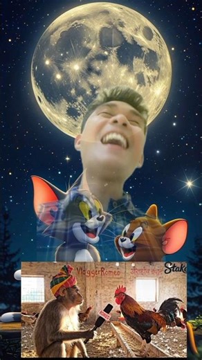 Monkey Interviews a Hen… Her Answers Shocked Everyone! 🐒🐔😂 #Shorts #funny #reaction