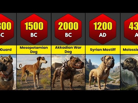 Comparison: Extinct Dog Breeds That Vanished From History