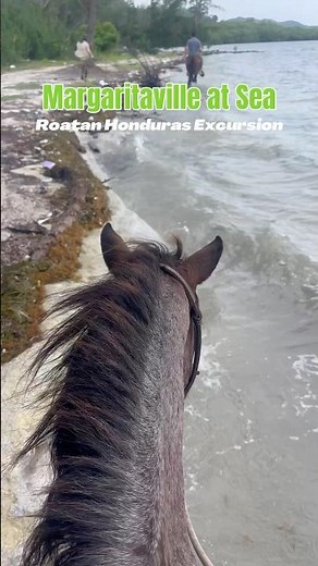 Horseback Riding in Roatán, Honduras | Margaritaville at Sea Excursion 🐴🌴