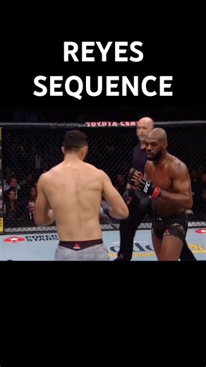 Dominick Reyes sequence