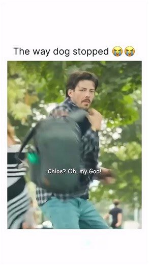 ♦️ | A dating app mix-up, two total opposites, and one adorable dog that brings them together. 🎬 About: Puppy Love (2023) After a disastrous... | Instagram