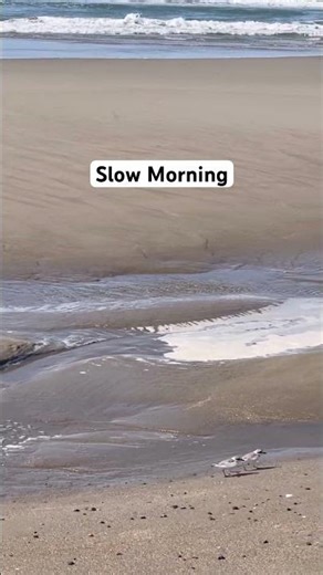 Slow Morning Nature Heals #relaxing #birds #love #beach
