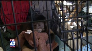 Exotic animal rescue sanctuary needs community’s help to rebuild after fire