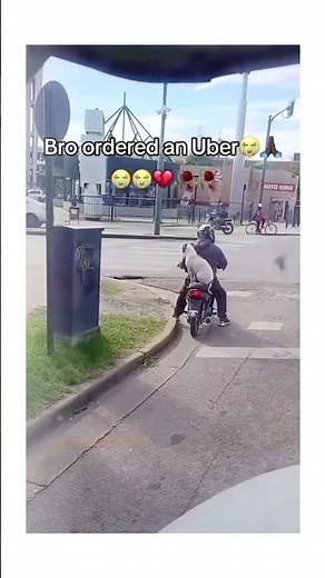 Crazy memes that you can die out of laughter 😂