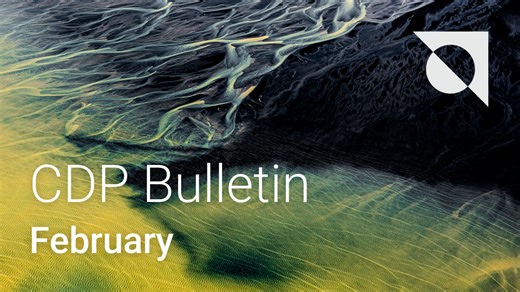 Your need-to-know updates from CDP this month