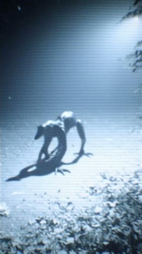 Cryptid Caught on Camera?! 😱 Unidentified Creature Footage #shorts