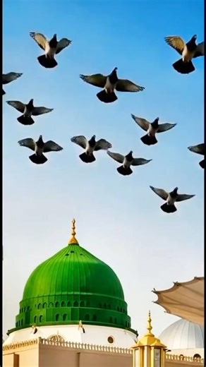 Al Madinah Al Manowara Saudi Arabia#shorts #shortvideo #short #trending #viral #foryou #song #islam