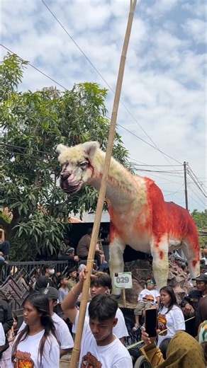 Kreasi Replika hewan Alpaca
