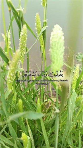 ١٣ أبريل ٢٠٢٦