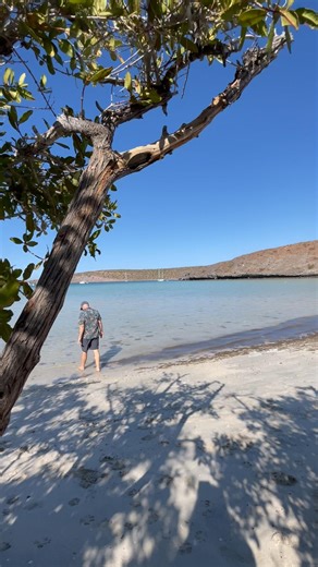 Playa el Tesoro in La Paz, Mexico 🇲🇽 #lapazmexico #mexico #travel