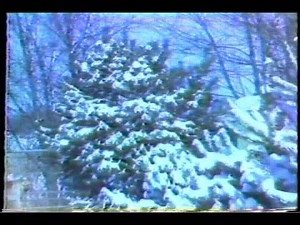 Springfield, MO snowstorm of January 1978