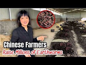 How To Build The World's Largest EARTHWORM Farm in China