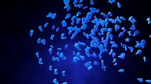 clip-1012433348-proteins-enzymes-motion