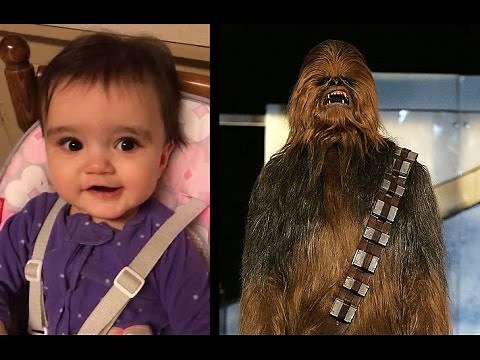 Baby Chewbacca Sounds And Noises