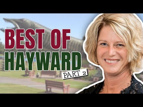 Best Things to Do in Hayward WI | Local Eats, Trails & Hidden Gems (Part 2)