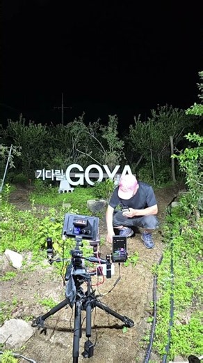 라이브 하이라이트 #질경이 #돌나물 #잡초 가을밤생방송