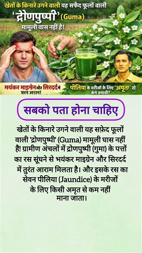 #motivation #shortsfeed #jayakishoribhajan #quotes