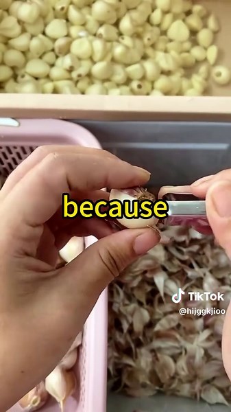 A Navy SEAL's Shoulder: A Funny Storytime Moment