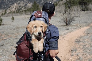 Your Go Bag Essentials for RV Excursions & Emergencies