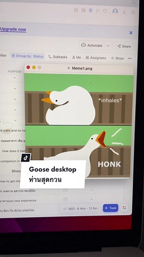 Goose desktop ห่านสุดกวนบนคอม #goosedesktop #appดีบอกต่อ #แอพดีบอกต่อ