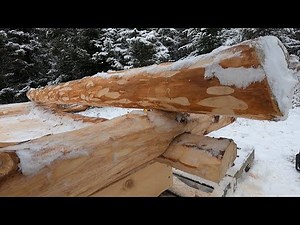 Building a Tiny Log Cabin with Saddle Notches