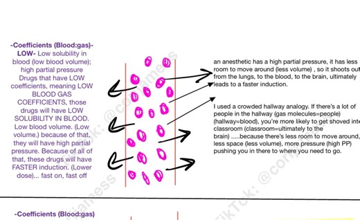 Blood:gas Partition Coefficient Made Easy - Etsy