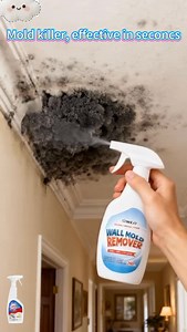 Link in bio 👆✨ This Mould Removal Spray wiped out every black spot in my bathroom — no scrubbing, no strong smell, just fresh, clean walls again! 👇🏽 Direct link: https://materialbuildsafe.com/products/highly-effective-mould-removal-spray #cleanhome #moldremover | Materialbuildsafe